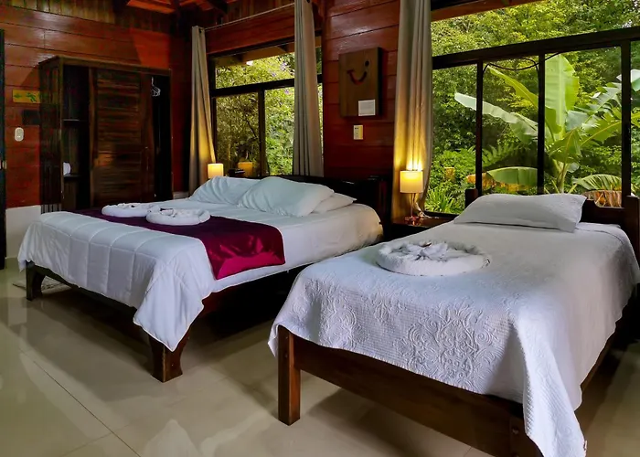 Heliconias Rainforest Lodge