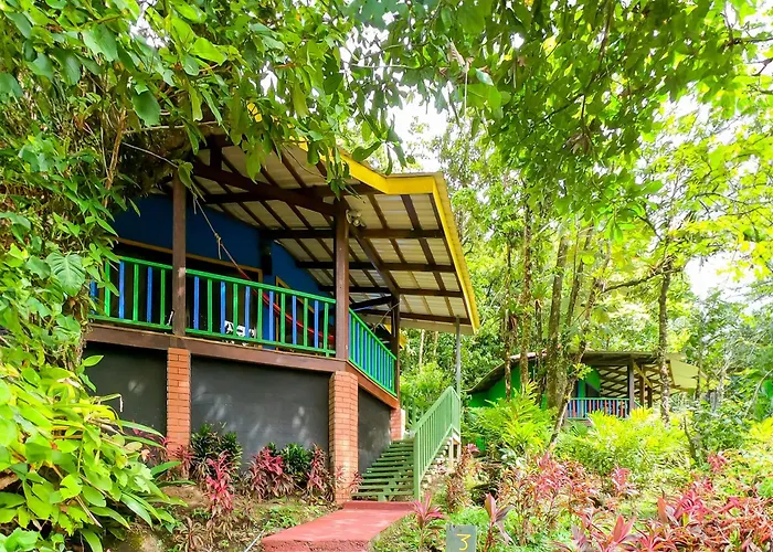 Heliconias Rainforest Lodge