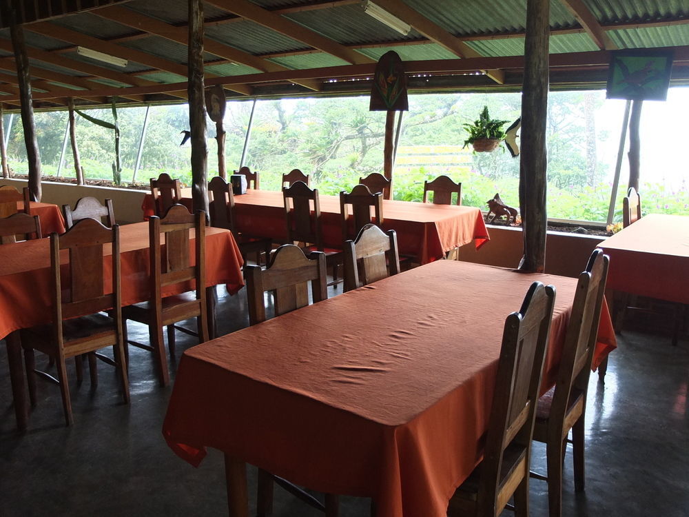 Heliconias Rainforest Lodge