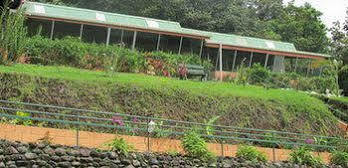 Heliconias Rainforest * Bijagua