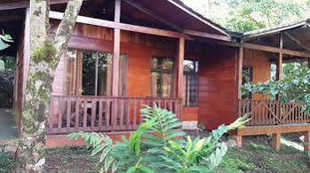 Lodge Heliconias Rainforest *
