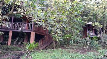 Heliconias Rainforest * Bijagua
